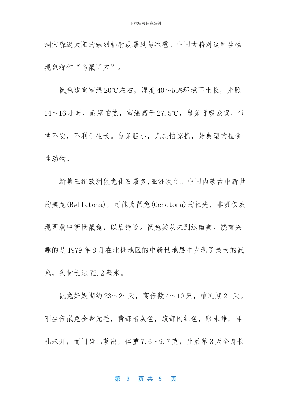 世界上最小的兔子种类_第3页