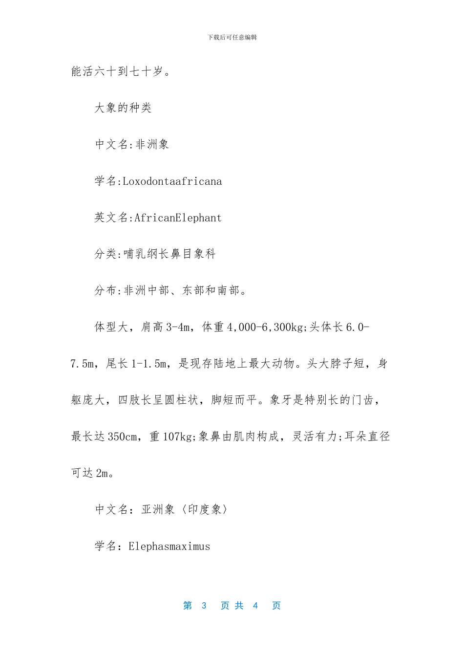 世界最大的大象_第3页