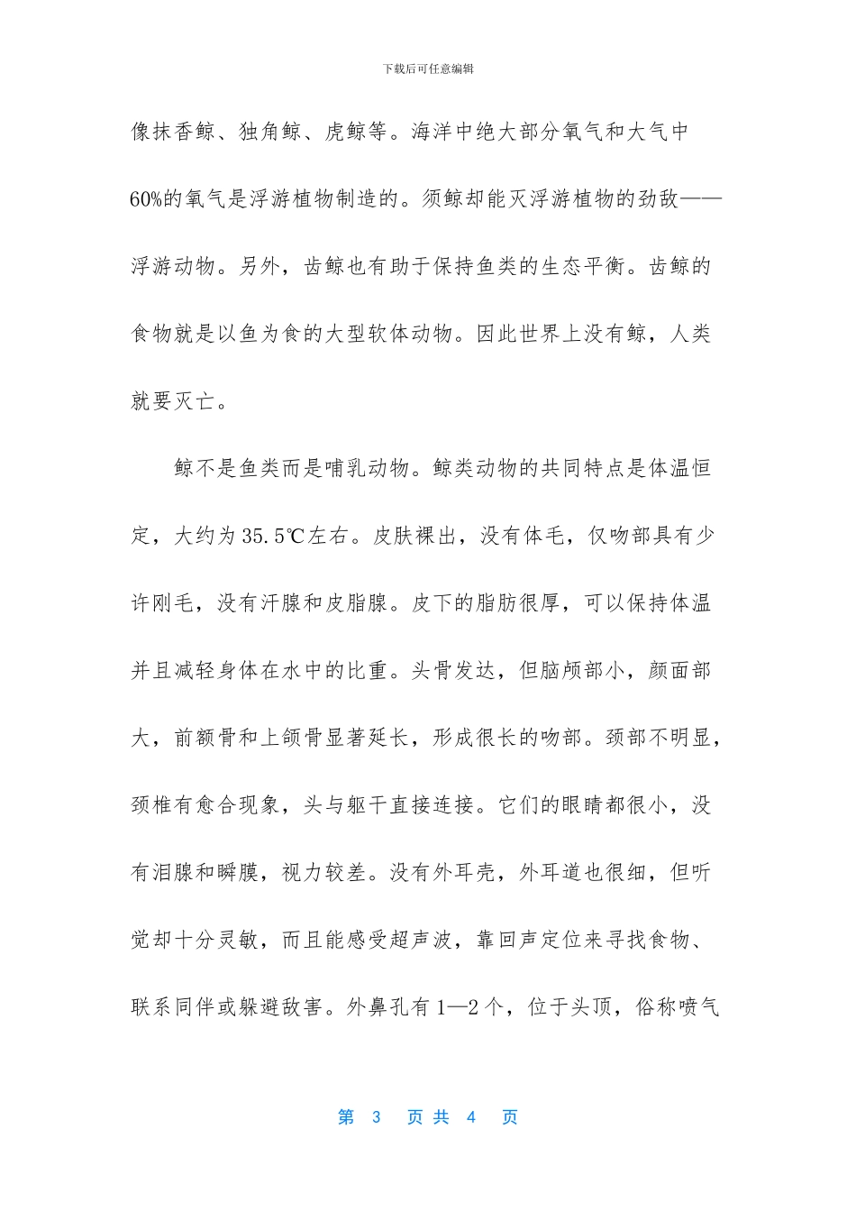 世界最小的鲸鱼是什么_第3页