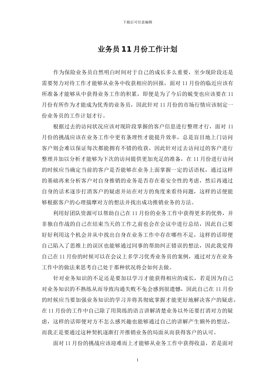 业务员11月份工作计划_第1页