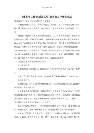 业务员工作计划范文