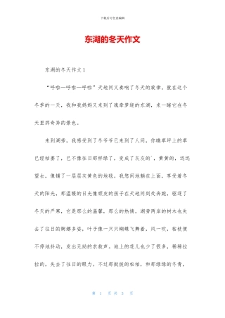 东湖的冬天作文