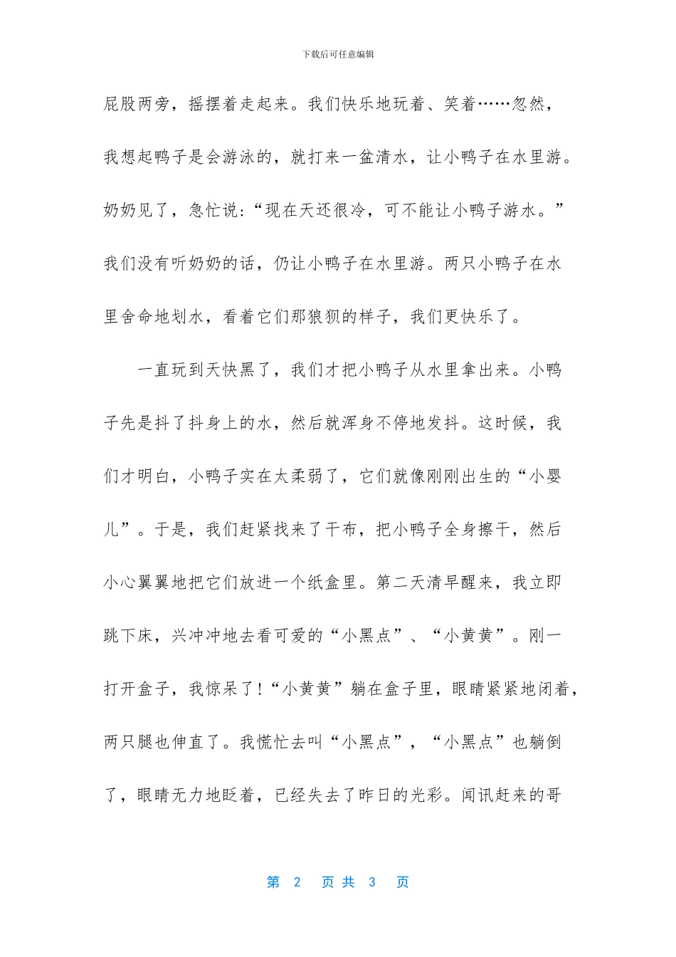 两只可爱的小鸭子作文_第2页