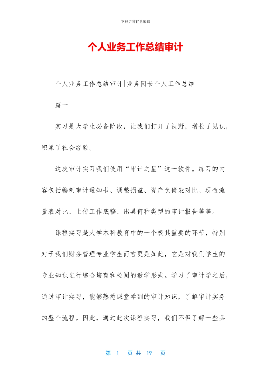 个人业务工作总结审计_第1页