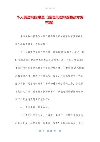 个人廉洁风险排查