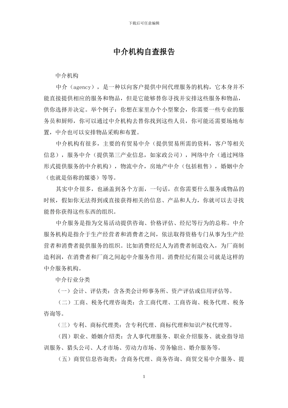 中介机构自查报告_第1页