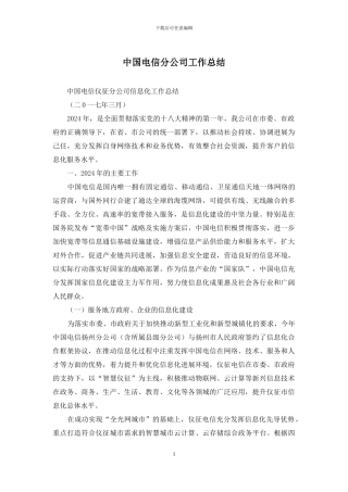 中国电信分公司工作总结
