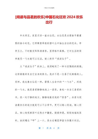 中国石化狂欢2024快乐出行