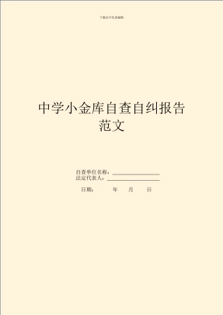 中学小金库自查自纠报告范文