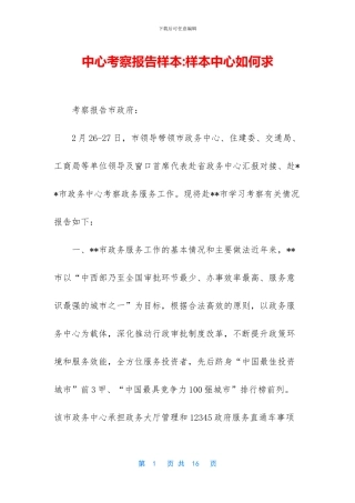 中心考察报告样本