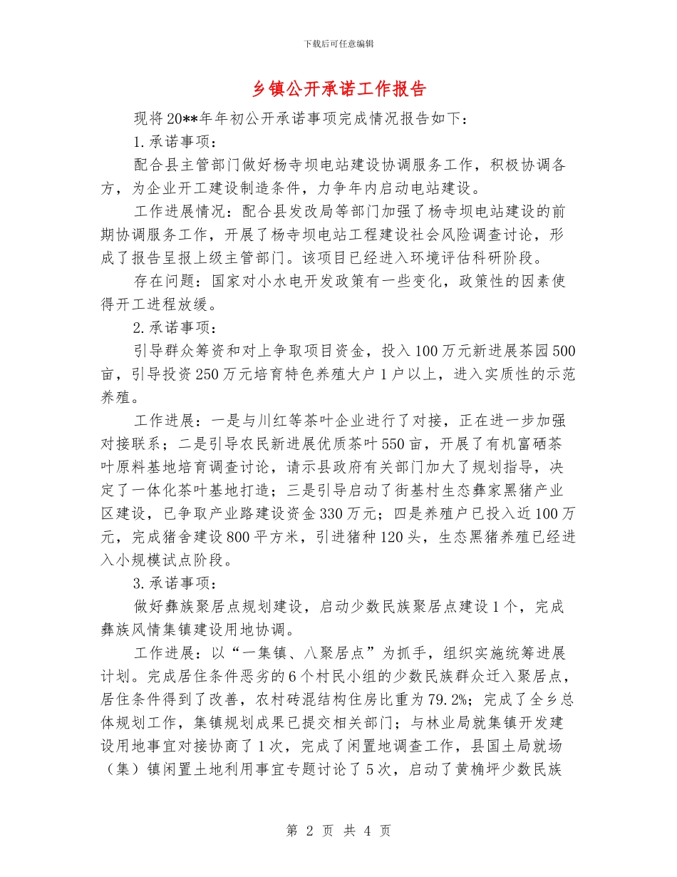 乡镇公开承诺工作报告_第2页