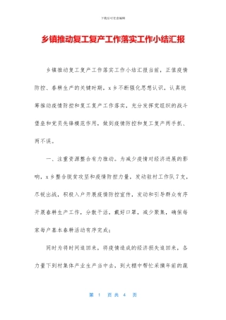 乡镇推进复工复产工作落实工作小结汇报