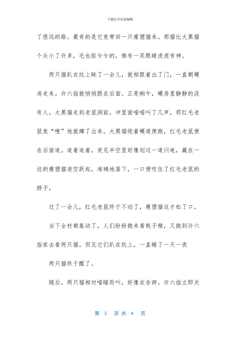 五星红旗的儿童故事_第3页