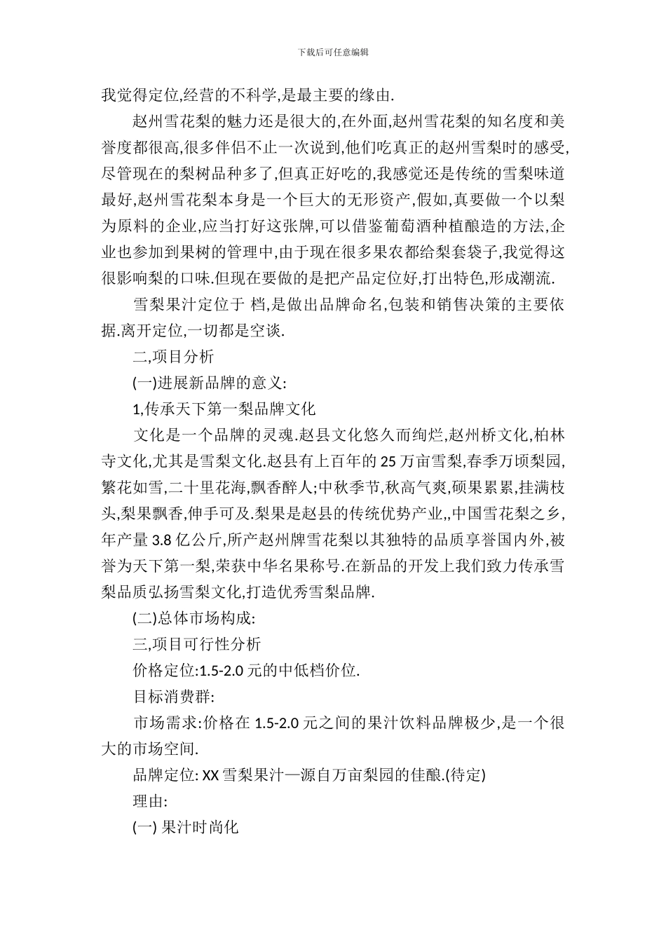产品开发策划书_第3页
