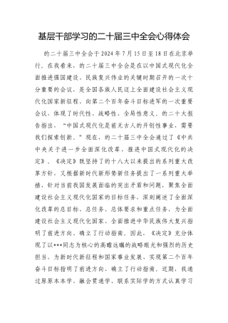 基层干部学习X的二十届三中全会心得体会