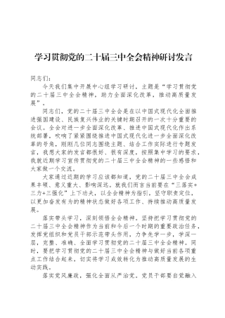 学习贯彻党的二十届三中全会精神研讨发言(1)(1)
