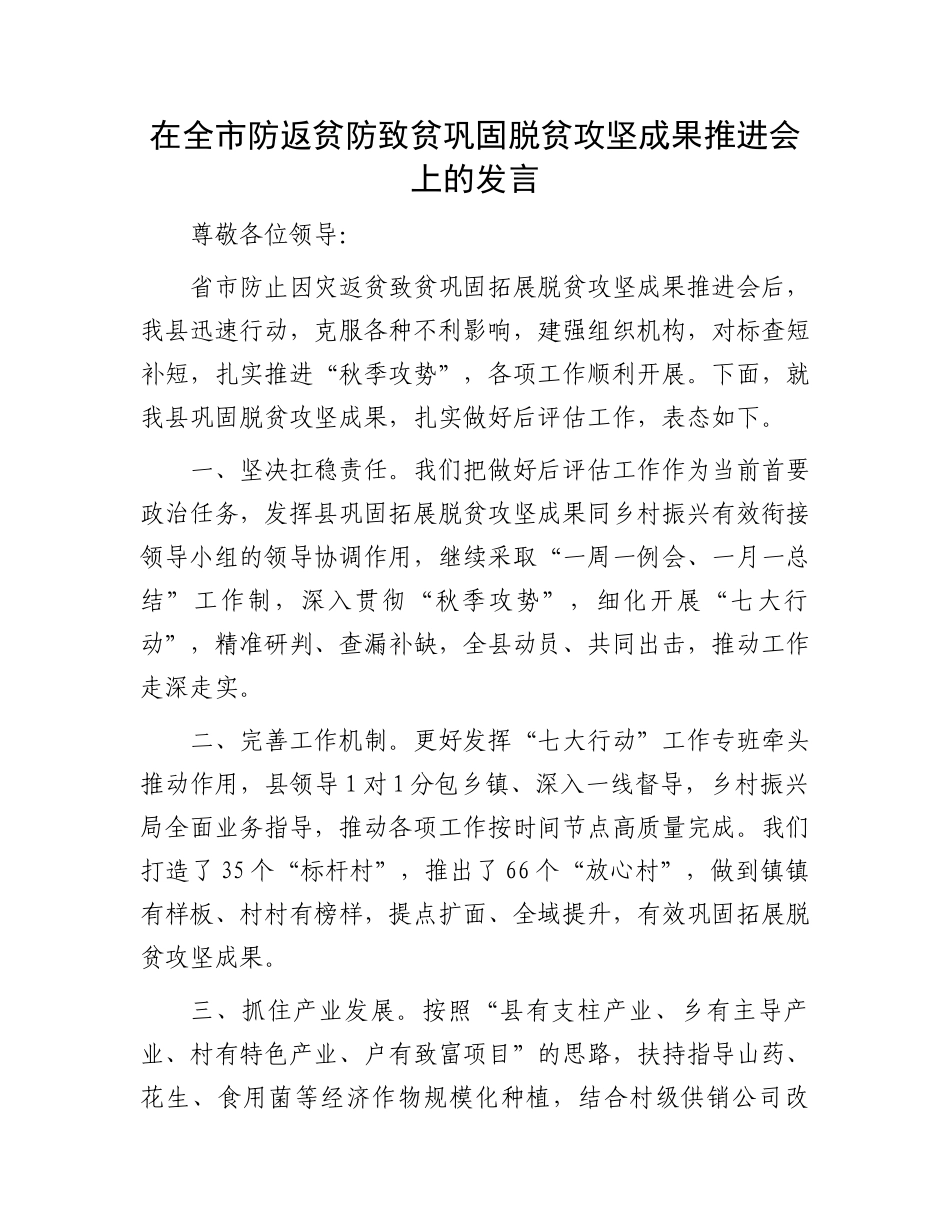在全市防返贫防致贫巩固脱贫攻坚成果推进会上的发言_第1页
