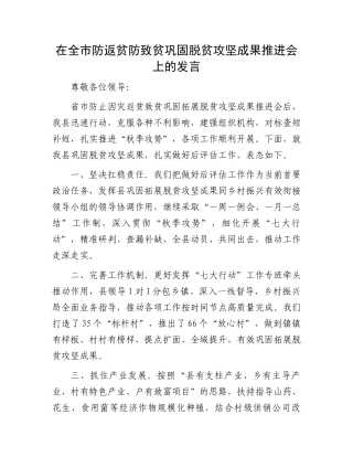 在全市防返贫防致贫巩固脱贫攻坚成果推进会上的发言