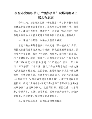 在全市党组织书记“领办项目”现场调度会上的汇报发言
