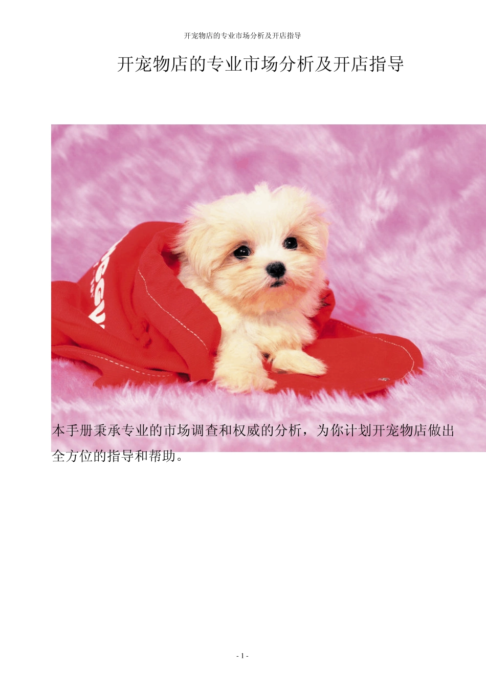 开宠物店的市场调研及开店指导_第1页