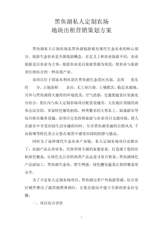 开心农场地块出租营销策划方案3