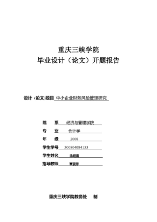 开题报告中小企业财务风险管理
