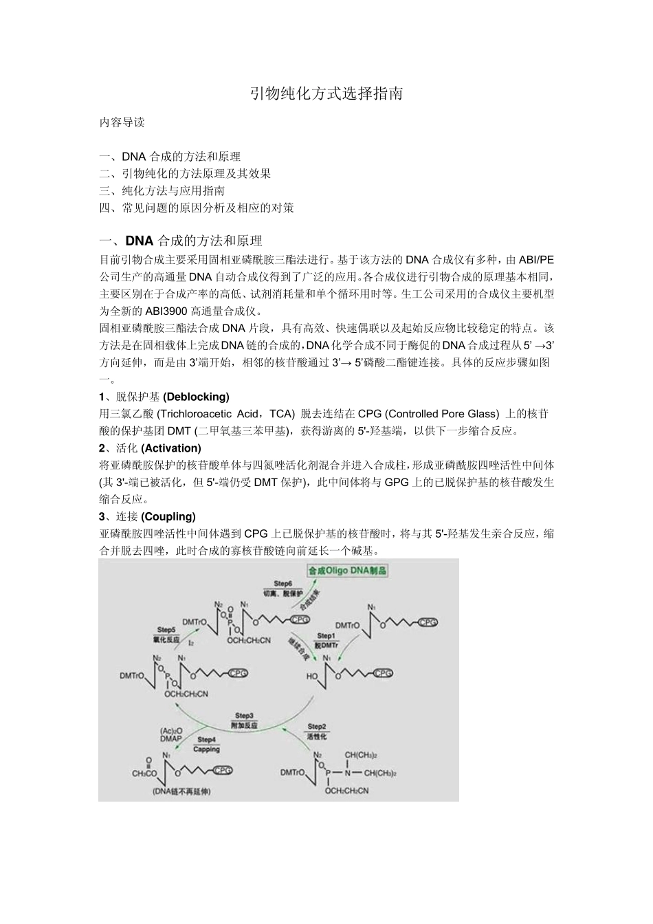 引物纯化方式选择指南_第1页