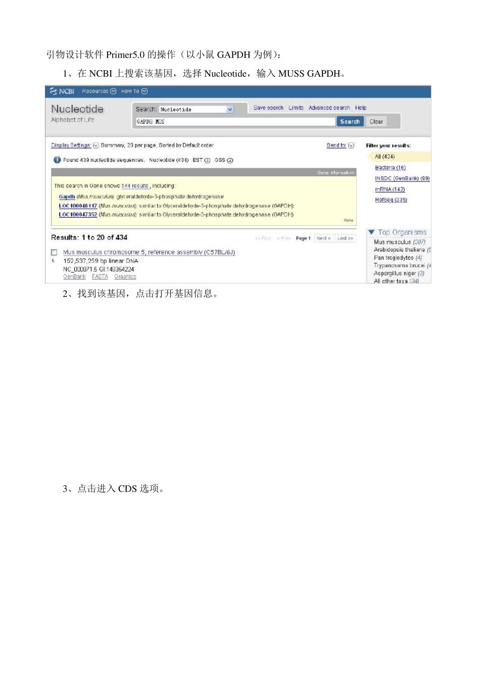 引物设计Primer5.0_第1页