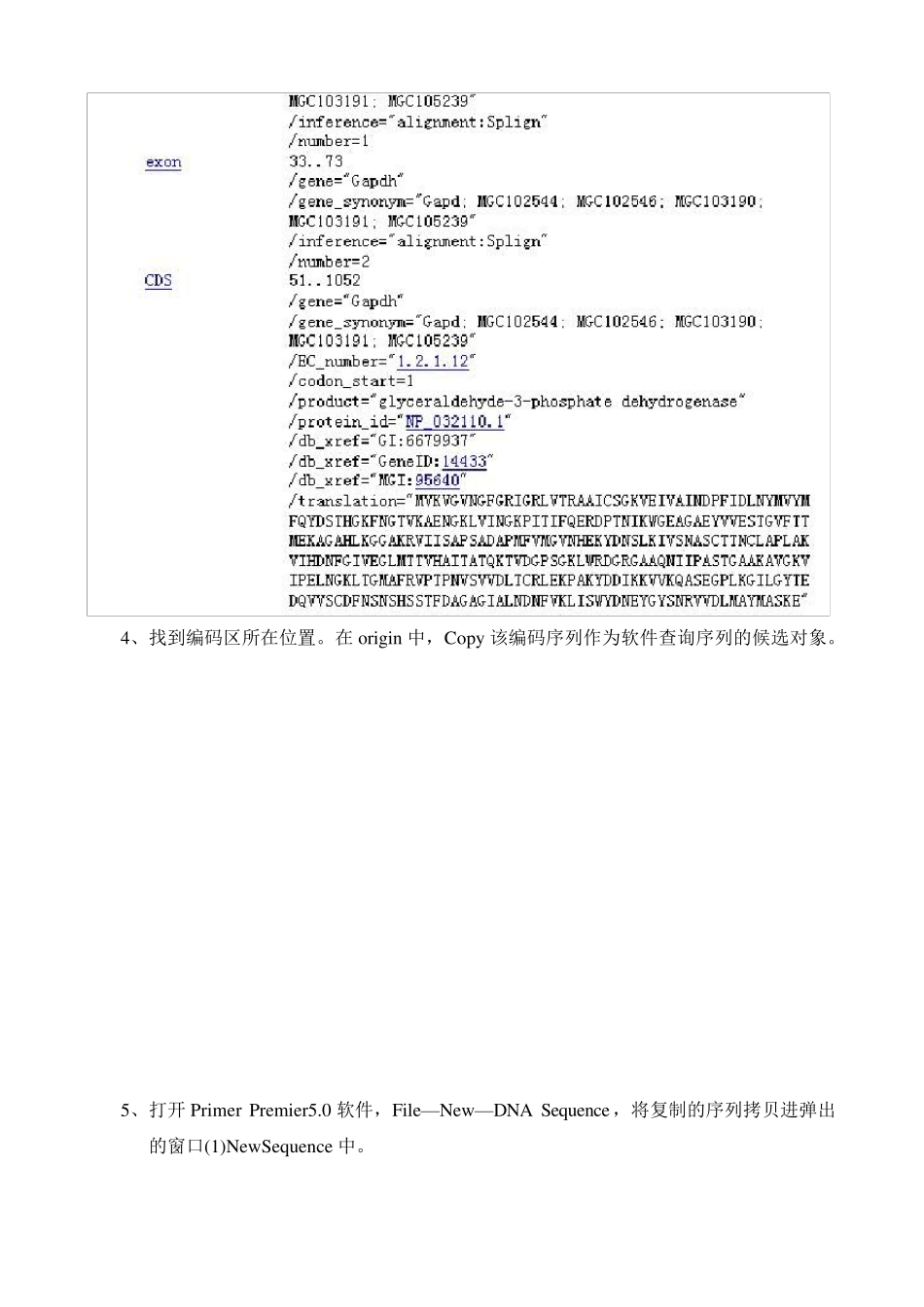 引物设计Primer5.0_第2页