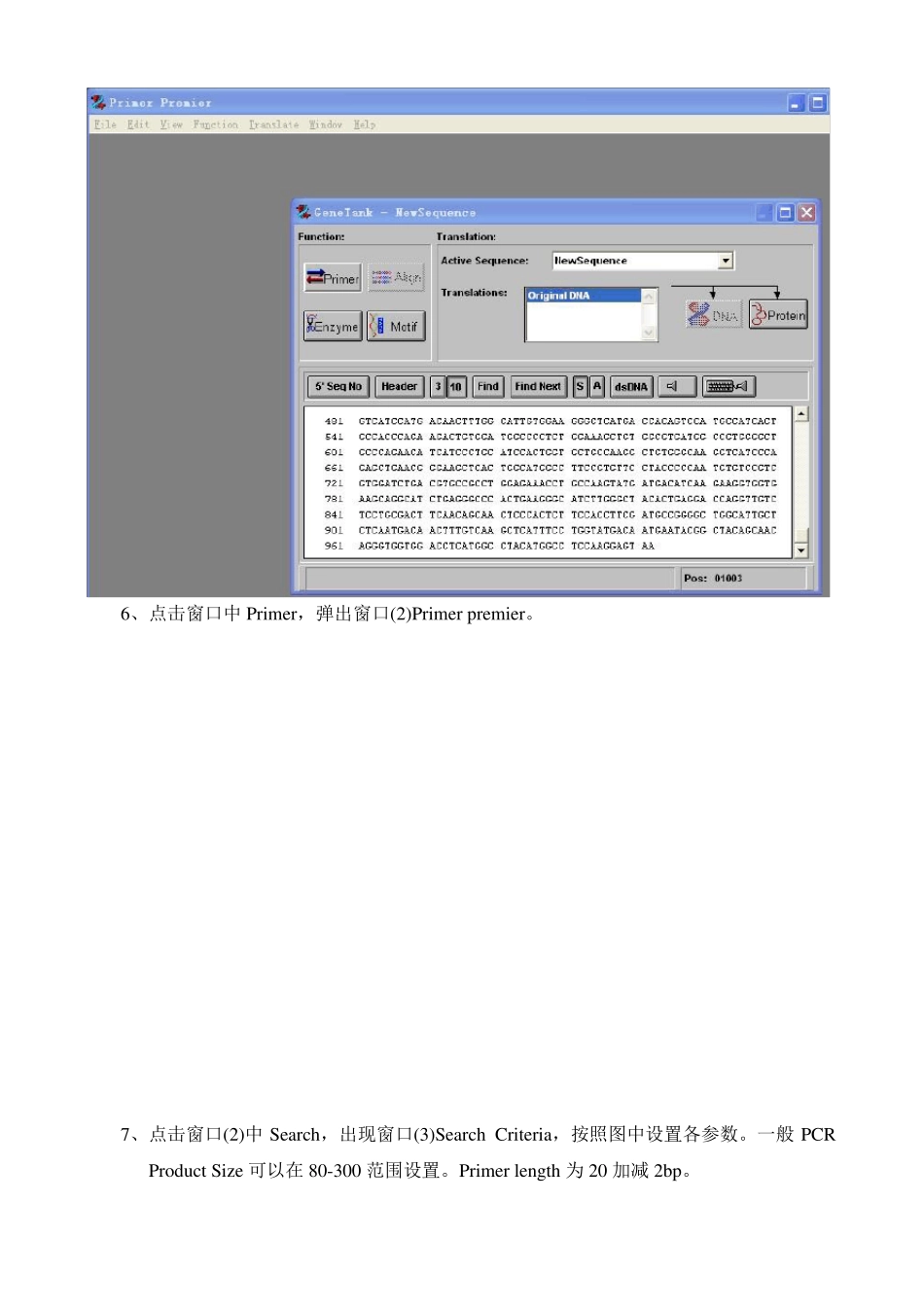 引物设计Primer5.0_第3页