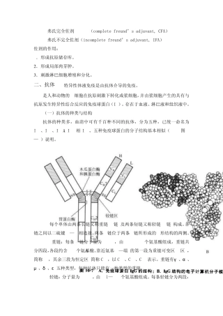 弗氏完全佐剂(complete