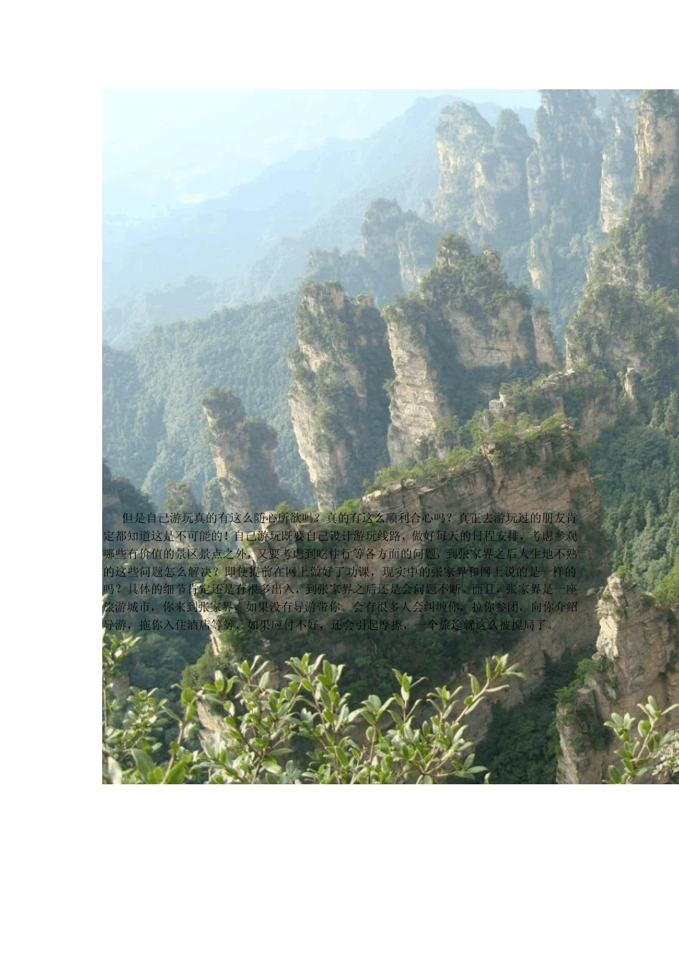 张家界自助游一家亲网站特色旅游攻略_第3页