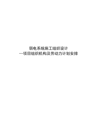 弱电系统项目组织机构及劳动力计划安排描述