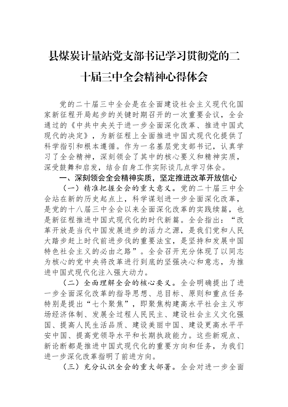 县煤炭计量站党支部书记学习贯彻党的二十届三中全会精神心得体会_第1页