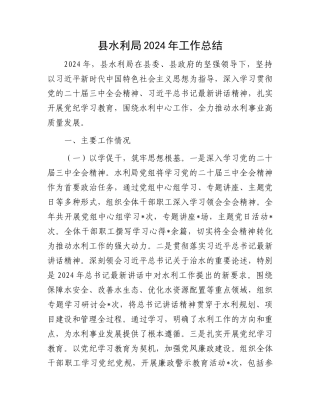 县水利局2024年工作总结