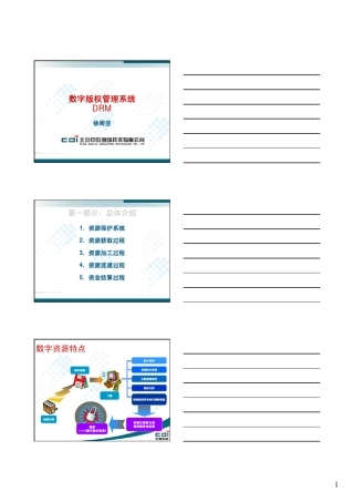 数字版权保护系统