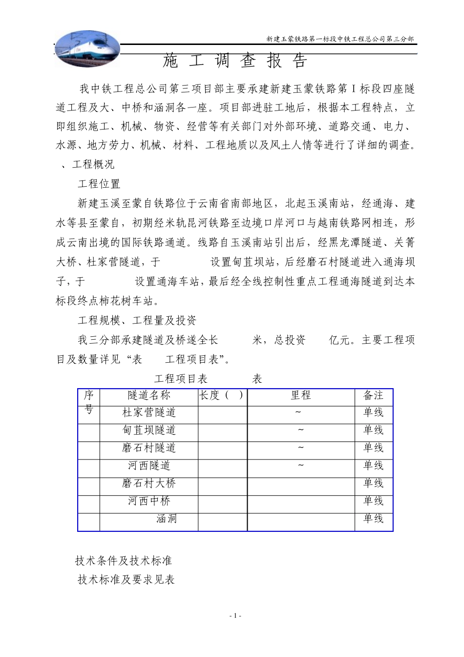 施工调查报告_第1页
