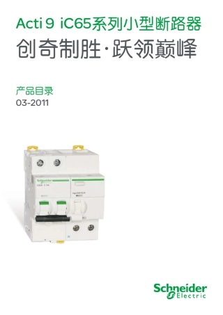 施耐德5代断路器IC65
