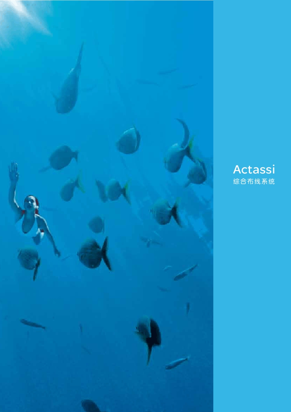 施耐德Atassi综合布线2013产品手册_第3页