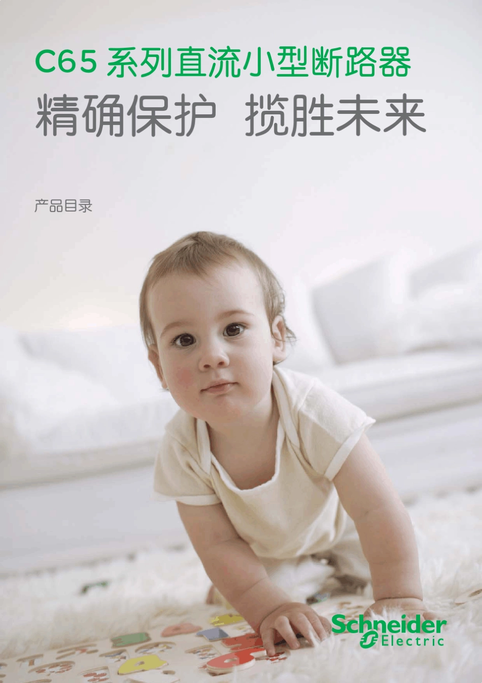 施耐德C65HDC、C65LDC直流小型断路器_第1页