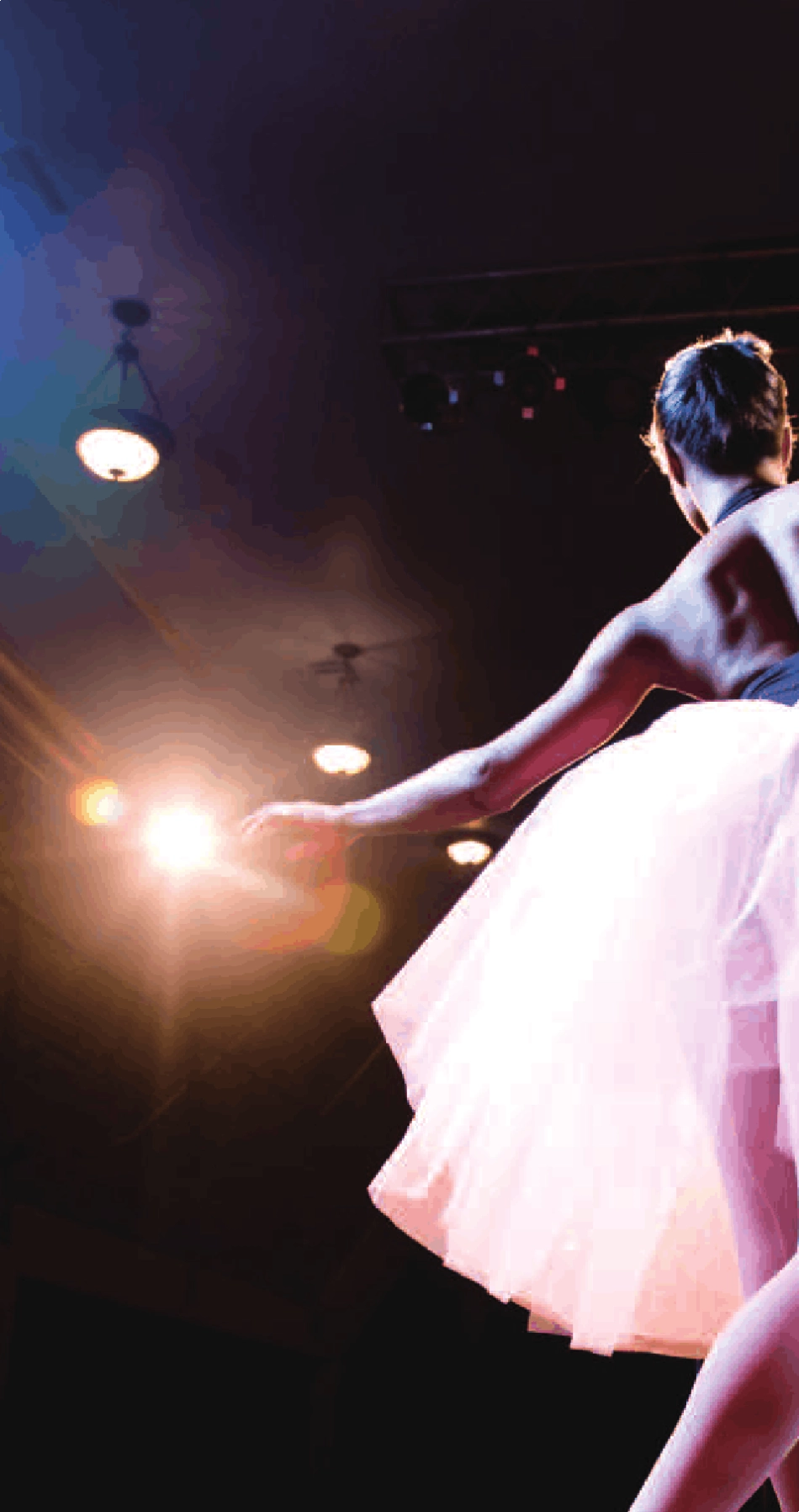 施耐德CBus产品手册_第2页