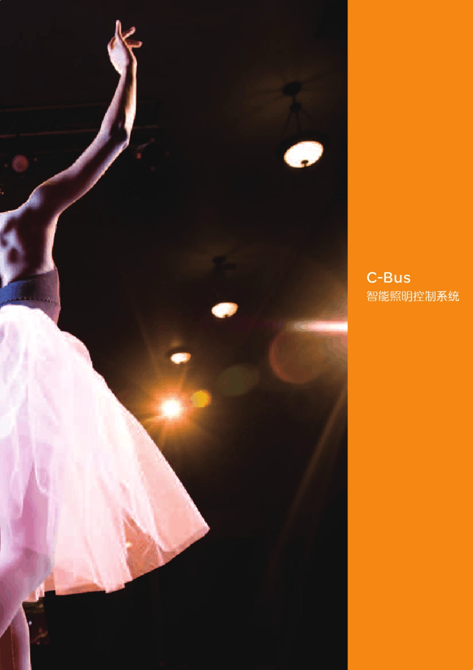 施耐德CBus产品手册_第3页