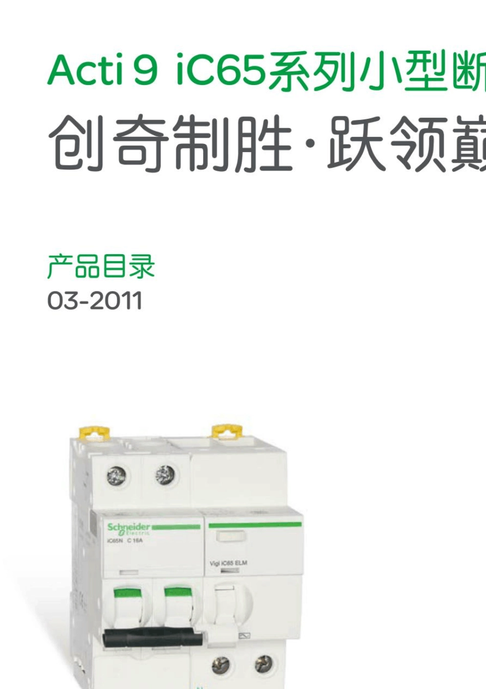 施耐德iC65中文选型_第1页