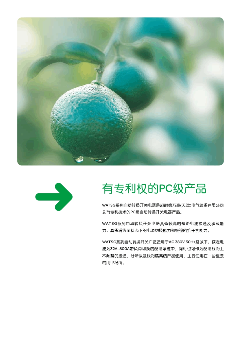 施耐德万高WATSG自动转换开关(2011版)_第3页