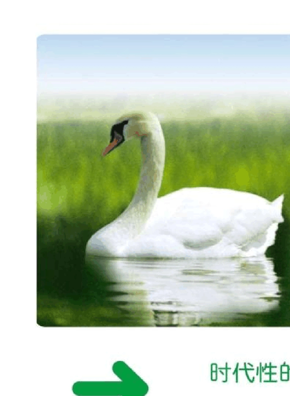 施耐德万高WTS系列ATS样本2011_第3页