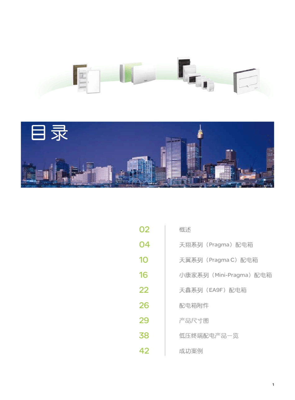 施耐德低压终端配电箱产品目录_第3页