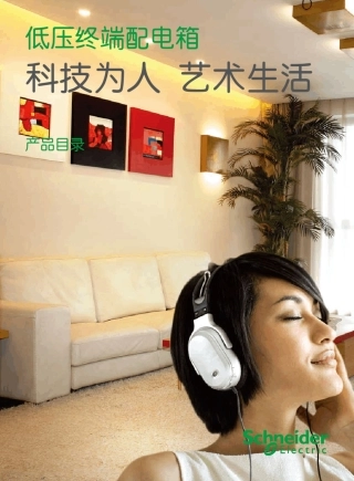 施耐德低压终端配电箱产品目录