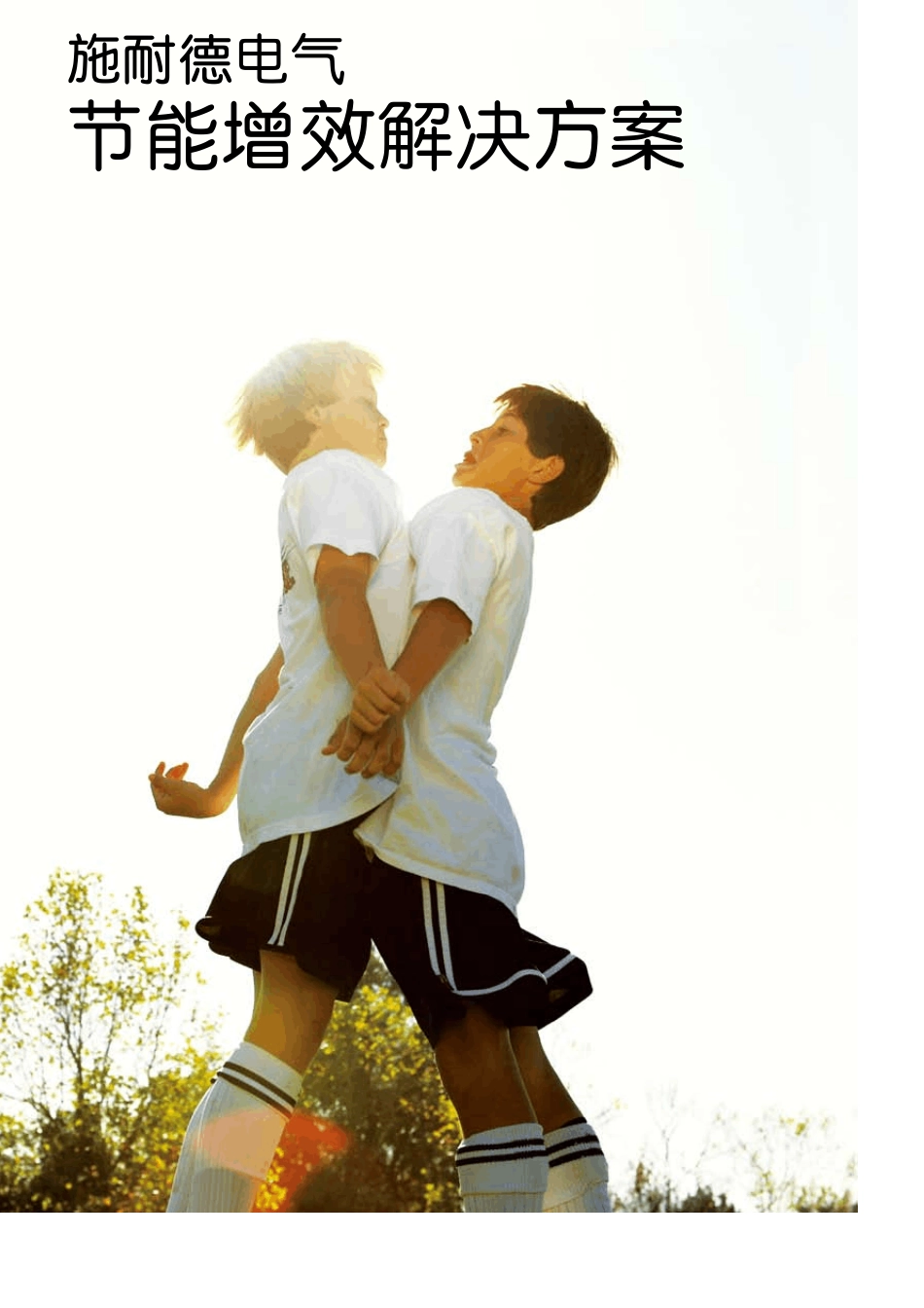施耐德电气节能增效方案_第1页