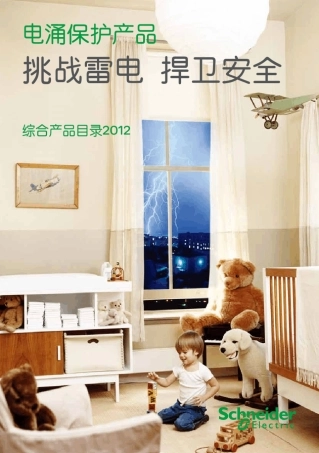 施耐德电涌保护器综合产品目录