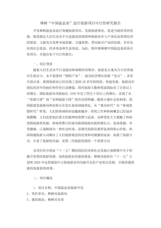 旅游项目可行性报告范文
